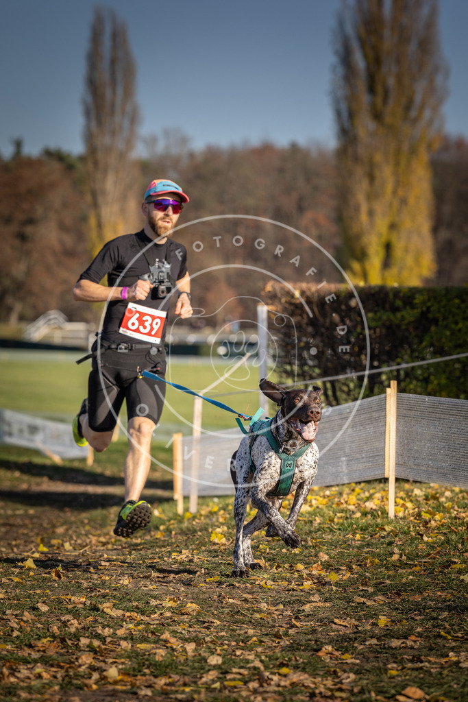 CaniXpix_DV3A0289 | Hundefotografie, Tierfotograf, Pfotenfotografie, Fotoshooting Hund, Hunde Portrait, Hundesport, Hundeportraits, Heideshooting, Hunde, Sportfotograf, Hundefotograf, Turnierhundsport, THS,  - Realisiert mit Pictrs.com
