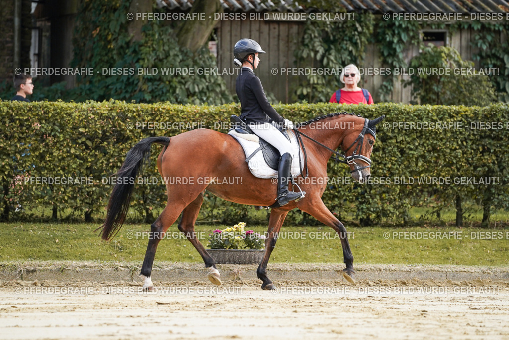 DSC05420 | Pferdegrafie