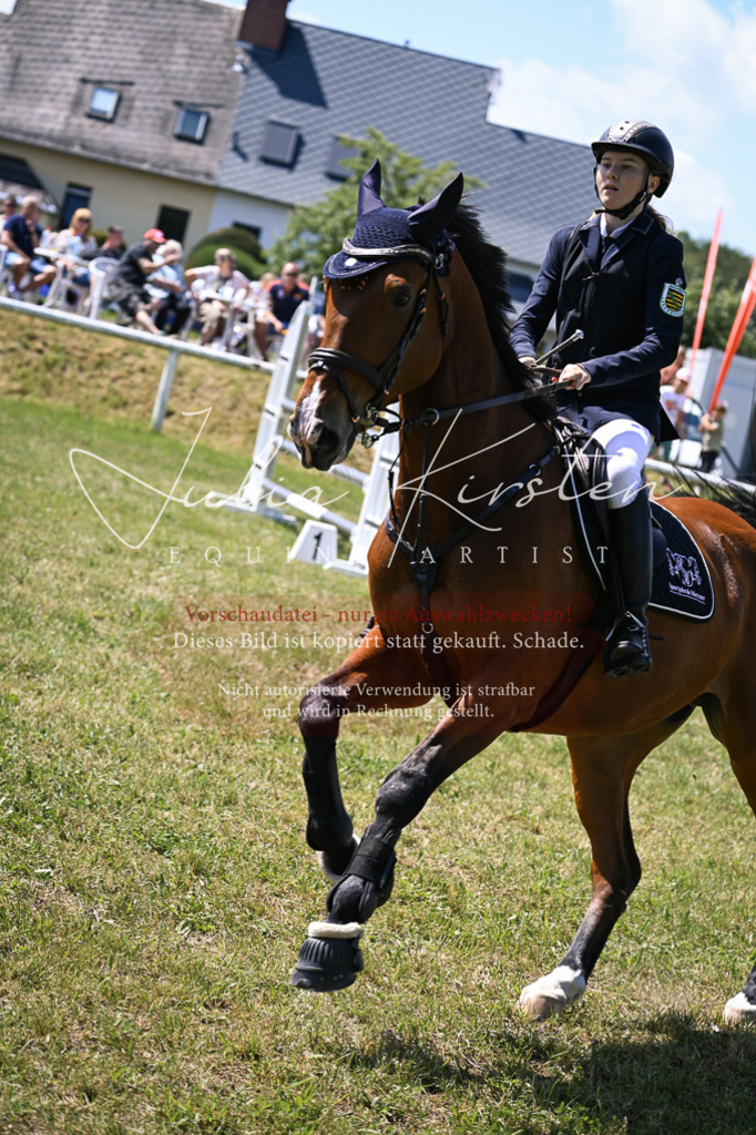 DSC_0146 | Pferde- und Turnierfotografie in Westsachsen. Pferdeportraits, Auftragszeichnungen und intuitive Kunst.