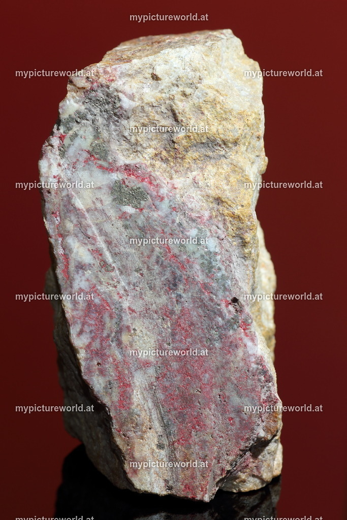 Cinnabarit-003 | Das Bilderarchiv über Tiere, Planzen und Landschaften. In der Bilddatenbank finden Sie ein große Auswahl an hochwertigen Bilder für Ihre Werbung - Realisiert mit Pictrs.com