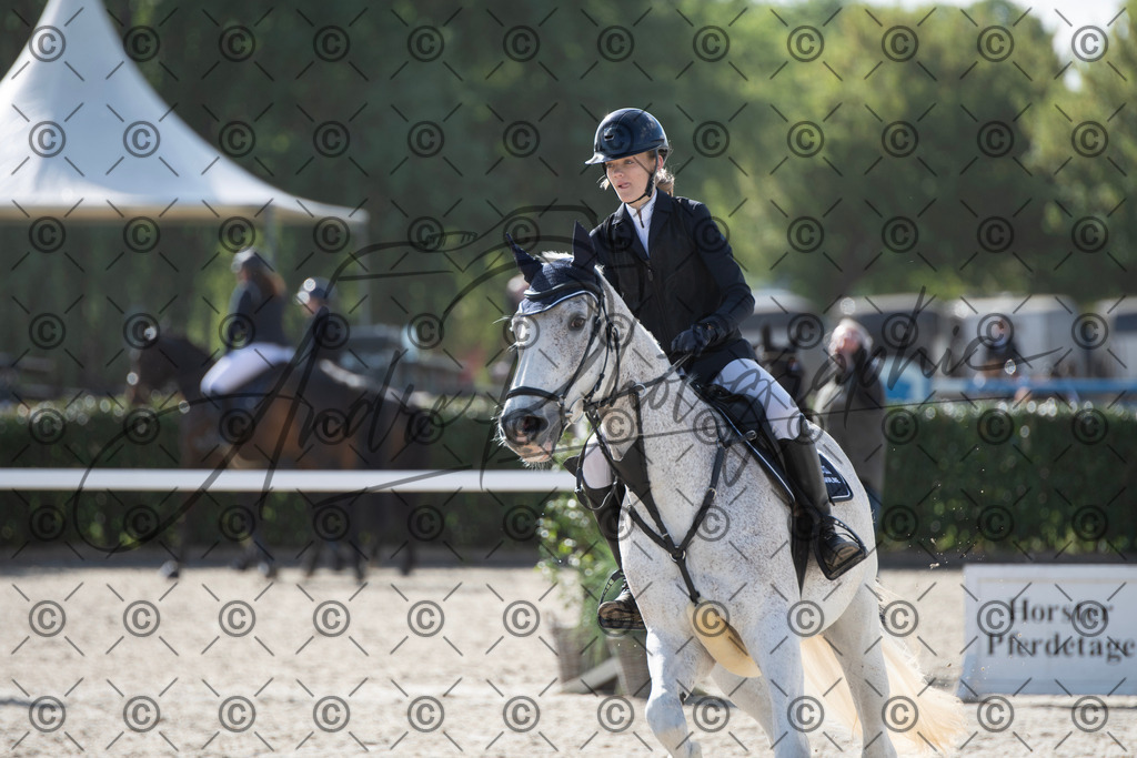 KPT_4537 | andre_photographic