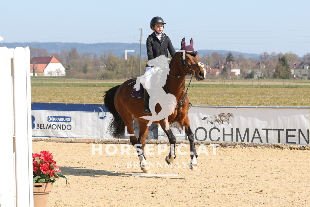 0P6A6435 | Willkommen bei Brunnmayr - Design & Fotografie – Ihrem Spezialisten für Reitturniere und Pferdeveranstaltungen in Oberösterreich, Salzburg und Bayern! Seit über 17 Jahren sind wir leidenschaftlich dabei.