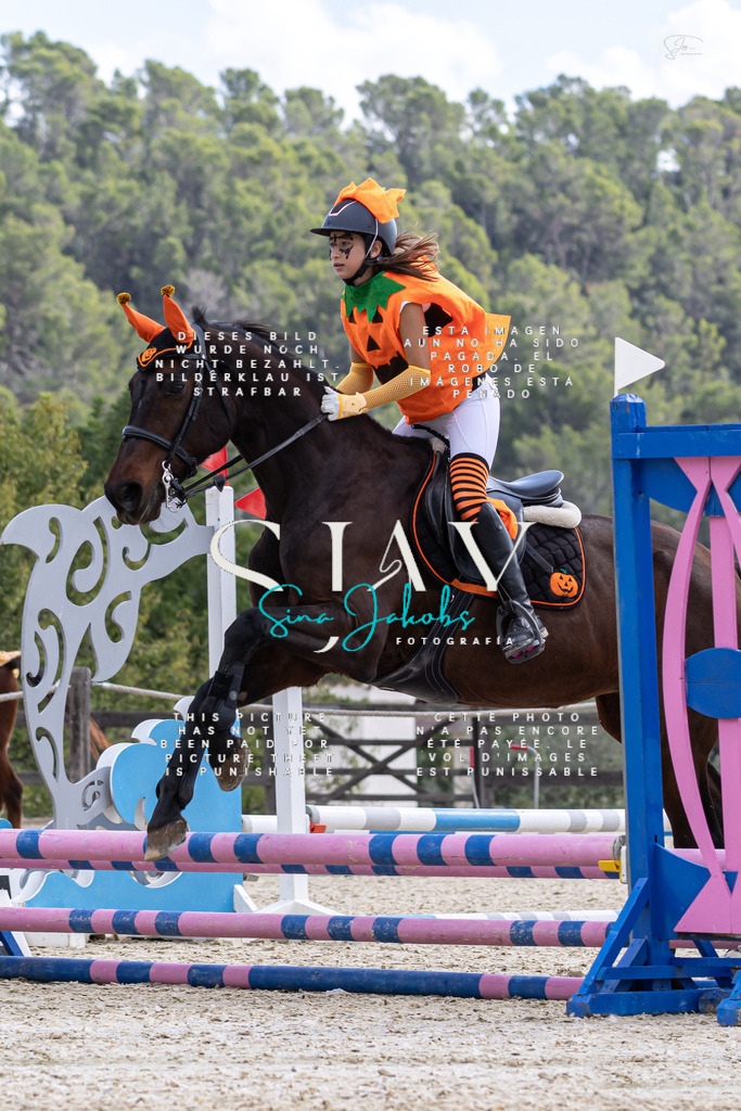 IMG_2231 | s-jay-photography - Realisiert mit Pictrs.com