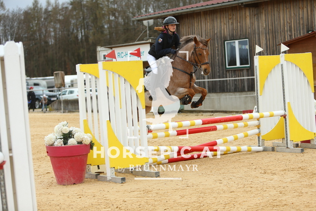DL2Q1892 | Willkommen bei Brunnmayr - Design & Fotografie – Ihrem Spezialisten für Reitturniere und Pferdeveranstaltungen in Oberösterreich, Salzburg und Bayern! Seit über 17 Jahren sind wir leidenschaftlich dabei.