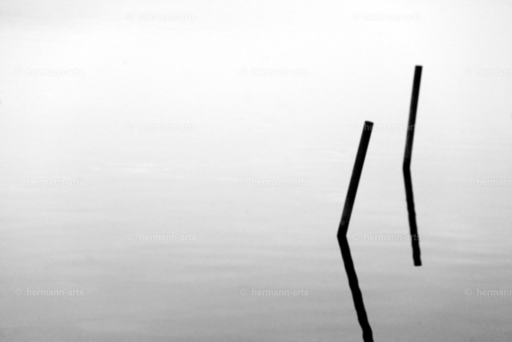 Nature-Arts-032 | Photo Foto Kunst Art schwarzweiss Bilder Rheine Münster Berlin Blumen 