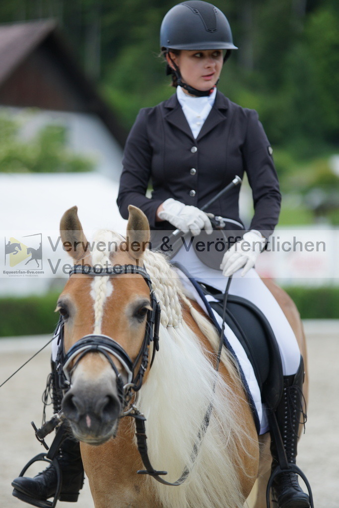 DSC05513 | equestrian-live-com