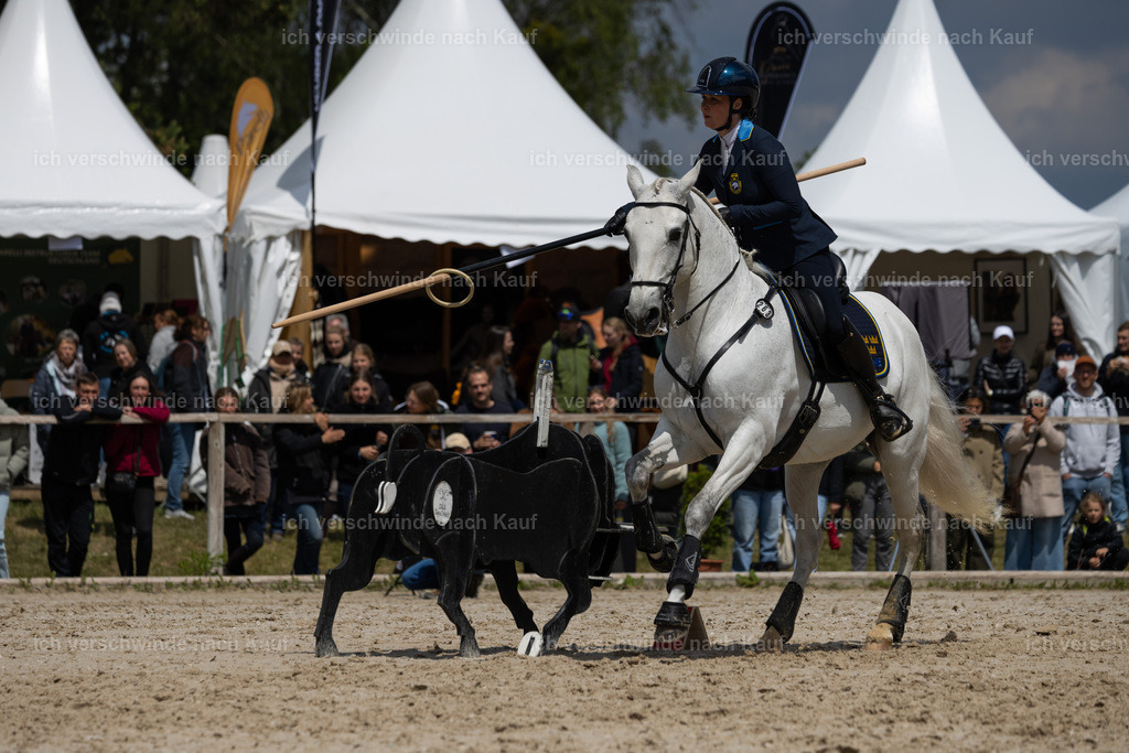 PI26_SP_StoibphotographyC2_C3715.CR3 | working equitationturnier fotograf videograf stoibphotography marixx film working equitation deutschland reitsport turnierfotografie eventfotografie equestrian events