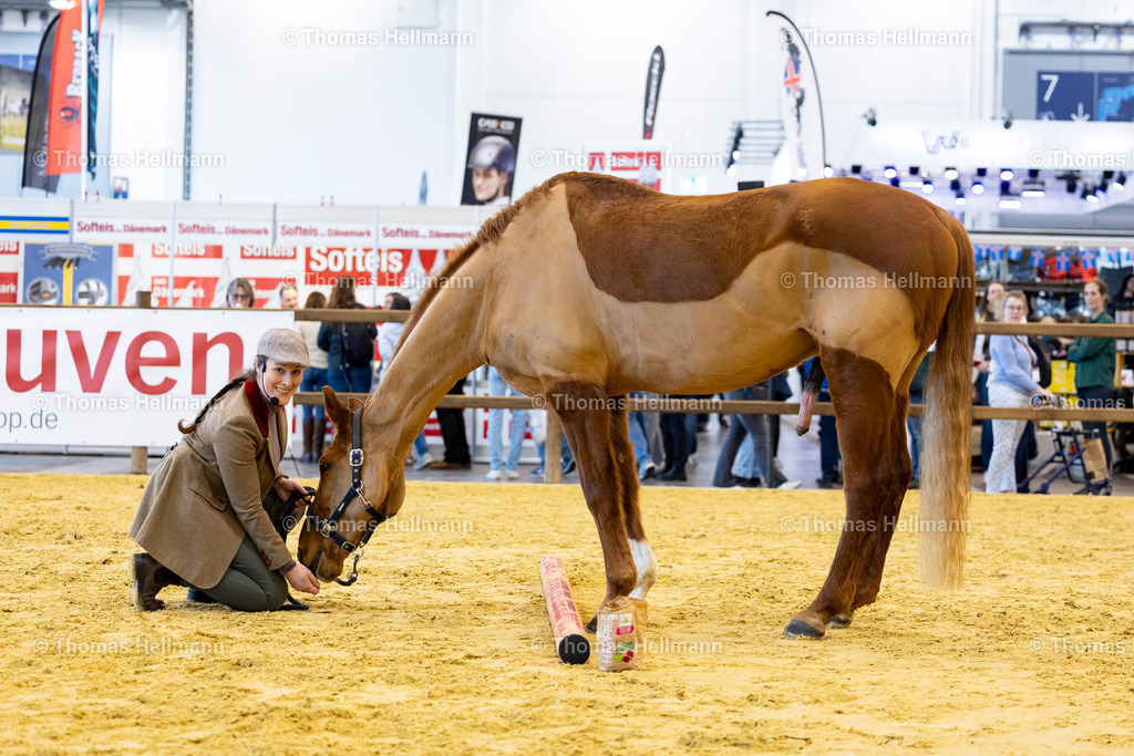TH_Ilka Stehn_ Kosmos Verlag_26656 | EQUITANA 2025 am 07.03.25 in Essen