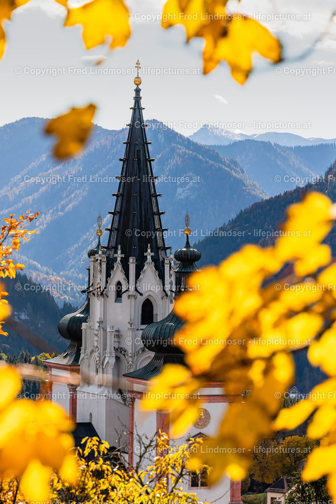 Mariazell Goldener Herbst 23102021-0477 | Fotos und Fotoprodukte - Realisiert mit Pictrs.com