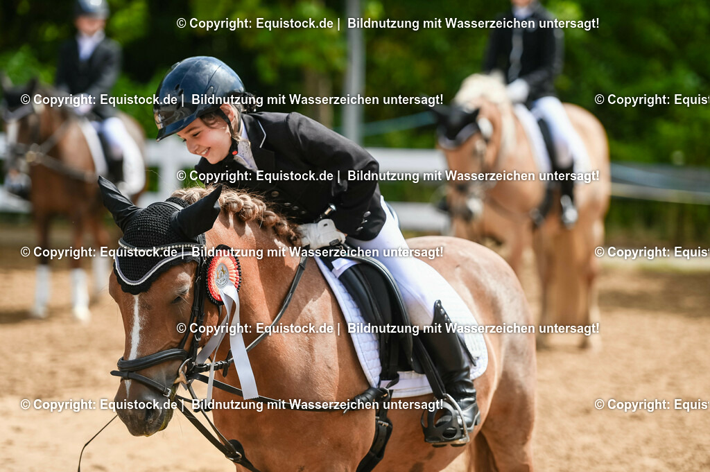 20230716_10-3_Reiter-WB Schritt - Trab - Galopp_0217 | equistock