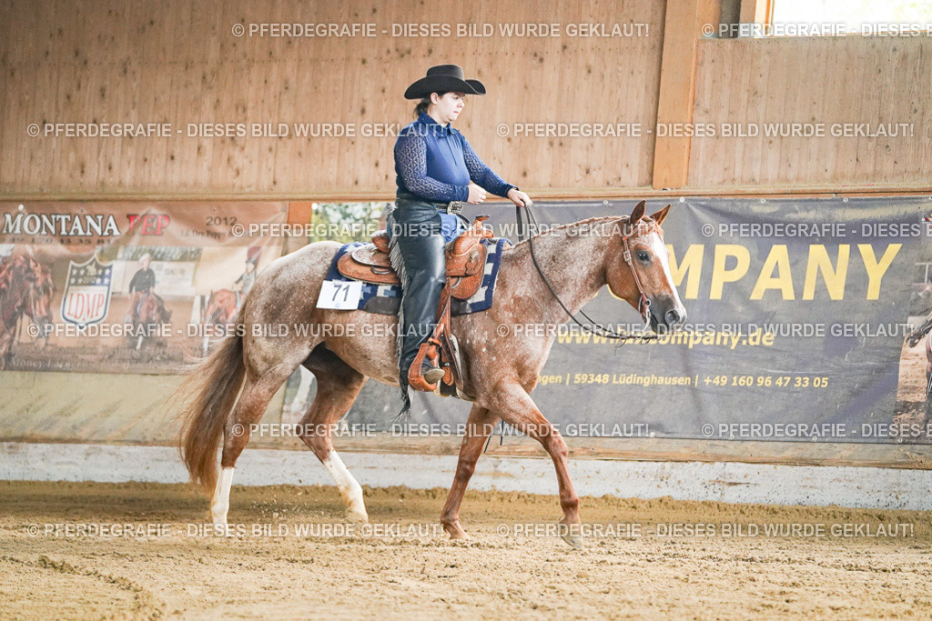 DSC05304 | Pferdegrafie