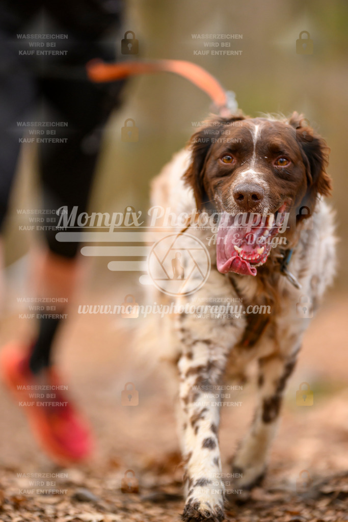MompixPhotography_Habay2025_SA_CCL-313 | PayLife
