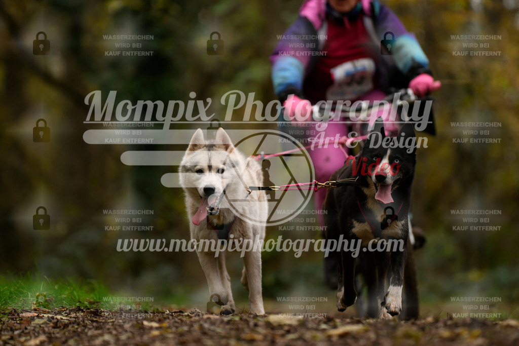 MompixPhotography_Bischwiller24_SA_VTT2-24 | PayLife