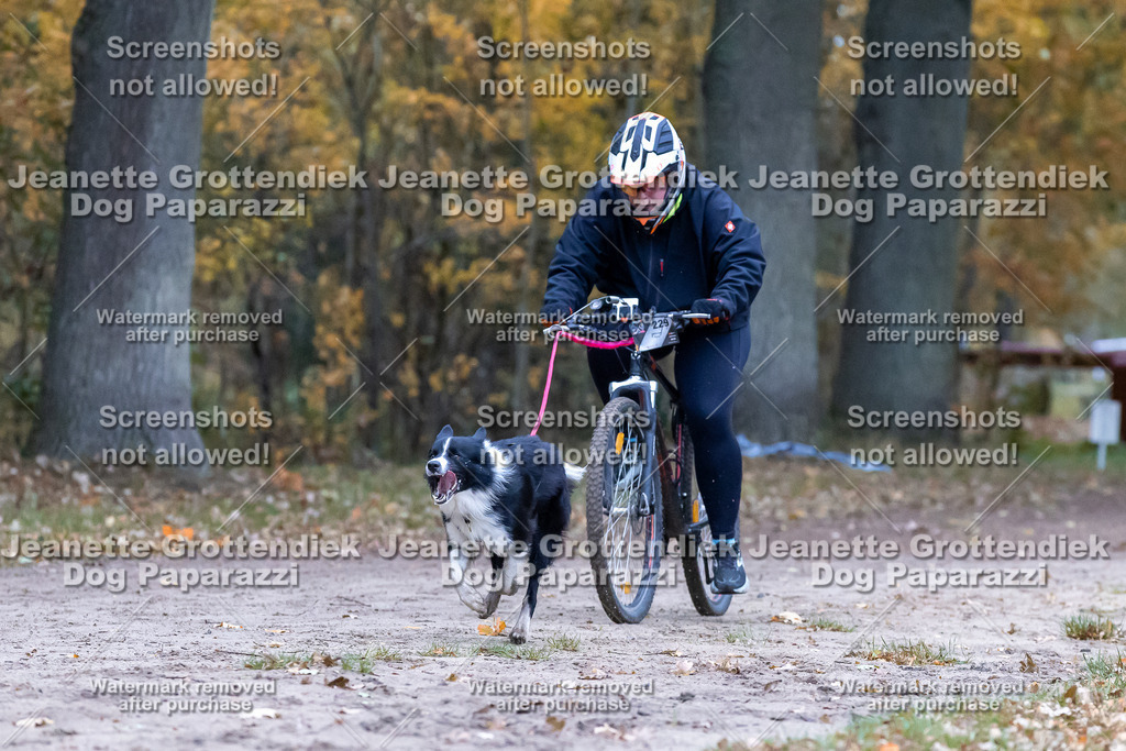 Dog Paparazzi - SD CaniX Championship 2025-256 | Dog Paparazzi Jeanette Grottendiek Fotografie & Videografie - Realisiert mit Pictrs.com