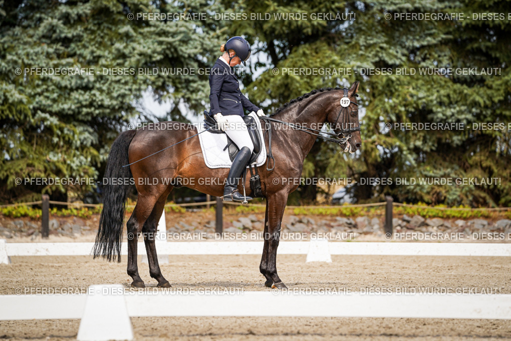 DSC05895 | Pferdegrafie