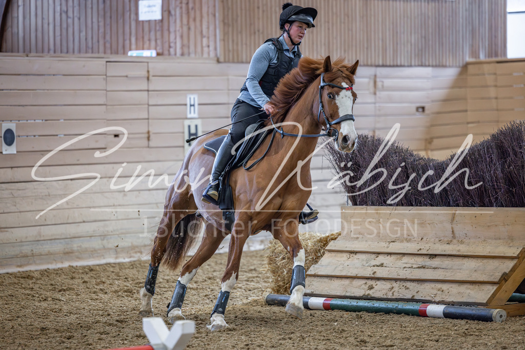 20260221-_3LI9842 | Tierfotografie Pferde, Hunde, Katzen, Haustiere.
Turnierfotografie Reitturniere, Reiten, Springreiten, Dressur in Hanau, dem Main-Kinzig-Kreis und dem Rhein-Main- Gebiet um Frankfurt
