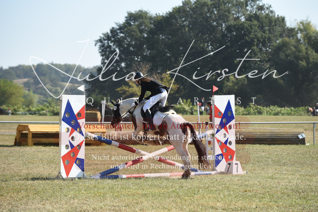 DSC_6100 | Pferde- und Turnierfotografie in Westsachsen. Pferdeportraits, Auftragszeichnungen und intuitive Kunst.