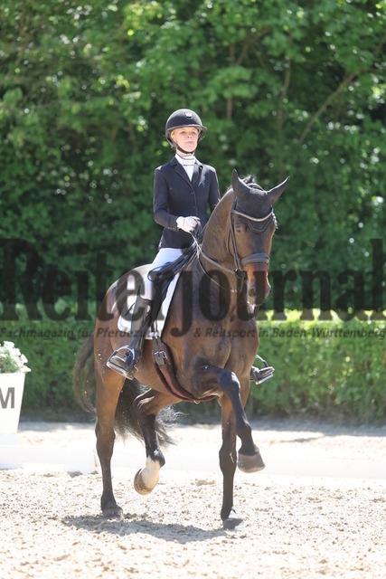 Böblingen_2025_Prfg.Nr.08_Dressurprüfung_Kl.M_Nürnberger Burgpokal_Allegra Elisabeth Hüttig_Impala VIP (10) | Alle Fotos der Reiterjournal Fotografin Doris Matthaes im Reiterjournal Online-Fotoshop. - Realisiert mit Pictrs.com