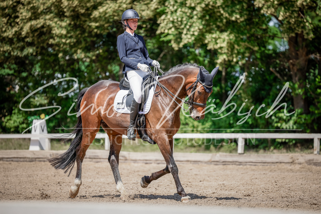 20250621-_3LI8749 | Tierfotografie Pferde, Hunde, Katzen, Haustiere.
Turnierfotografie Reitturniere, Reiten, Springreiten, Dressur in Hanau, dem Main-Kinzig-Kreis und dem Rhein-Main- Gebiet um Frankfurt