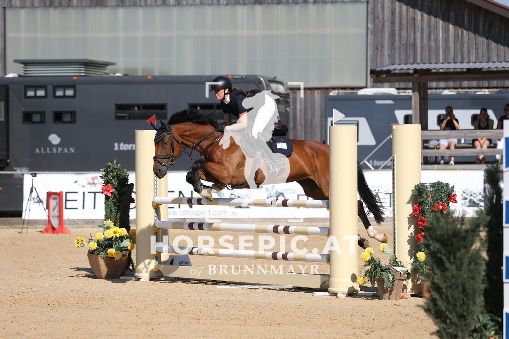 DL2Q0442 | Willkommen bei Brunnmayr - Design & Fotografie – Ihrem Spezialisten für Reitturniere und Pferdeveranstaltungen in Oberösterreich, Salzburg und Bayern! Seit über 17 Jahren sind wir leidenschaftlich dabei.