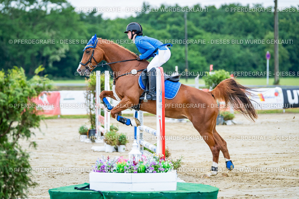 DSC01066 | Pferdegrafie