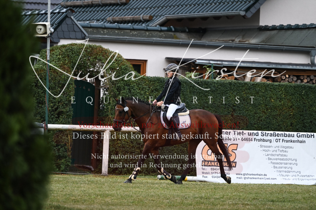 DSC_5433 | Pferde- und Turnierfotografie in Westsachsen. Pferdeportraits, Auftragszeichnungen und intuitive Kunst.