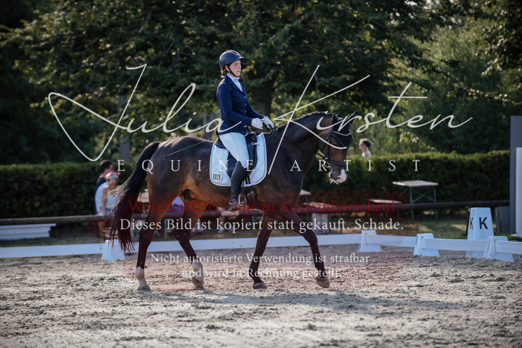 DSC_0632 | Pferde- und Turnierfotografie in Westsachsen. Pferdeportraits, Auftragszeichnungen und intuitive Kunst.