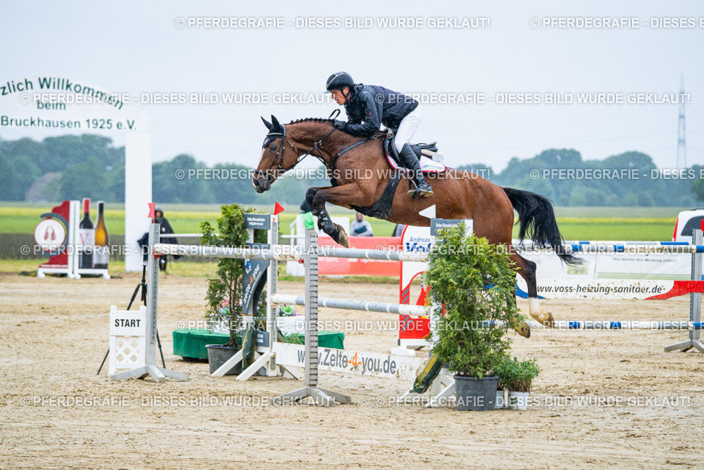 DSC09849 | Pferdegrafie