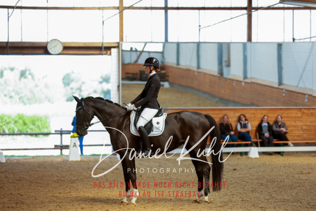 _62_4934 | Turniersportfotografie; Pferdefotografie; Dressurfotografie