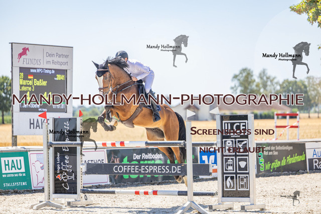 26-7-24 SPF m++-461 | mandyhollmannphotographie