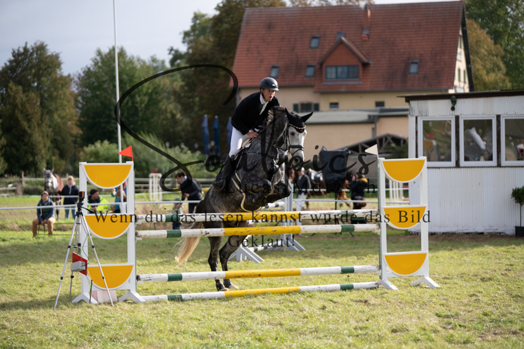 A7V07382 | Pferdefotograf