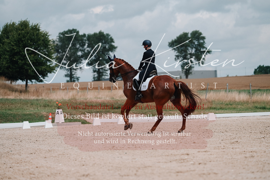 DSC_4225 | Pferde- und Turnierfotografie in Westsachsen. Pferdeportraits, Auftragszeichnungen und intuitive Kunst.