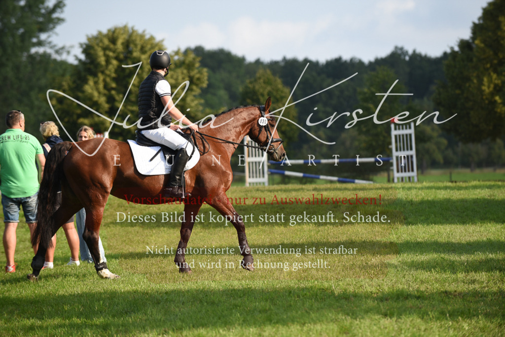 DSC_8562 | Pferde- und Turnierfotografie in Westsachsen. Pferdeportraits, Auftragszeichnungen und intuitive Kunst.