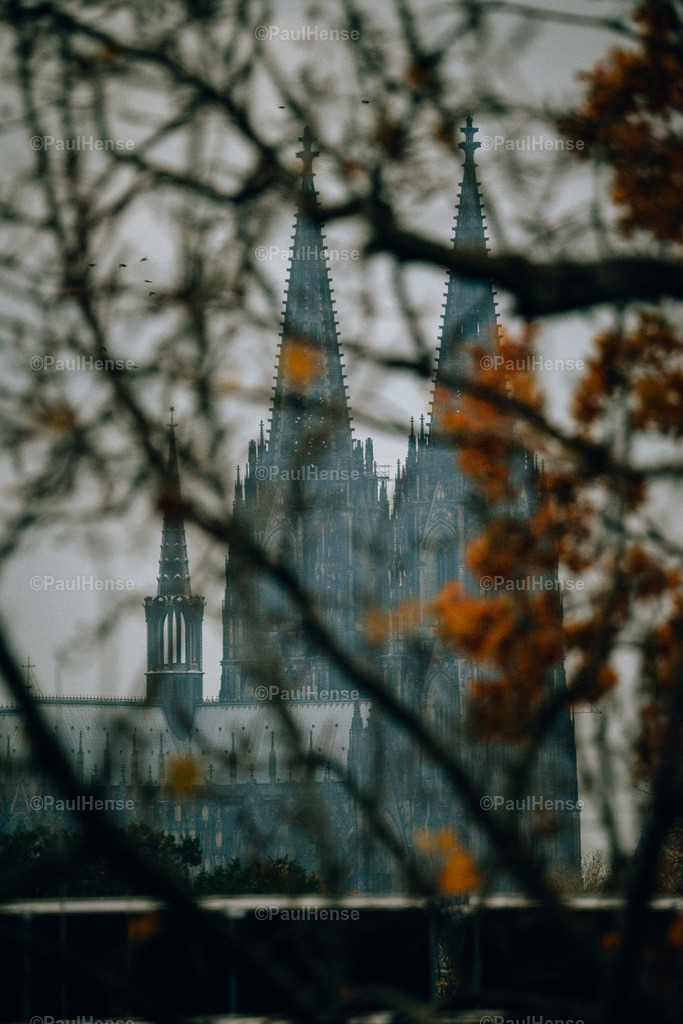 20221120_PaulHense_S0006_DSC04003-2 | paulhense - Realisiert mit Pictrs.com