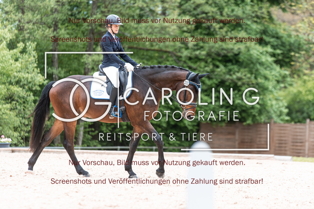 DSC_6899 | Turnierfotografin Carolin Gieschke,Reitsport Turnierfotografie Carolin G Fotografie | Turnierfotos aus Kirchheim/Teck, Esslingen, Stuttgart und dem Bodenseekreis