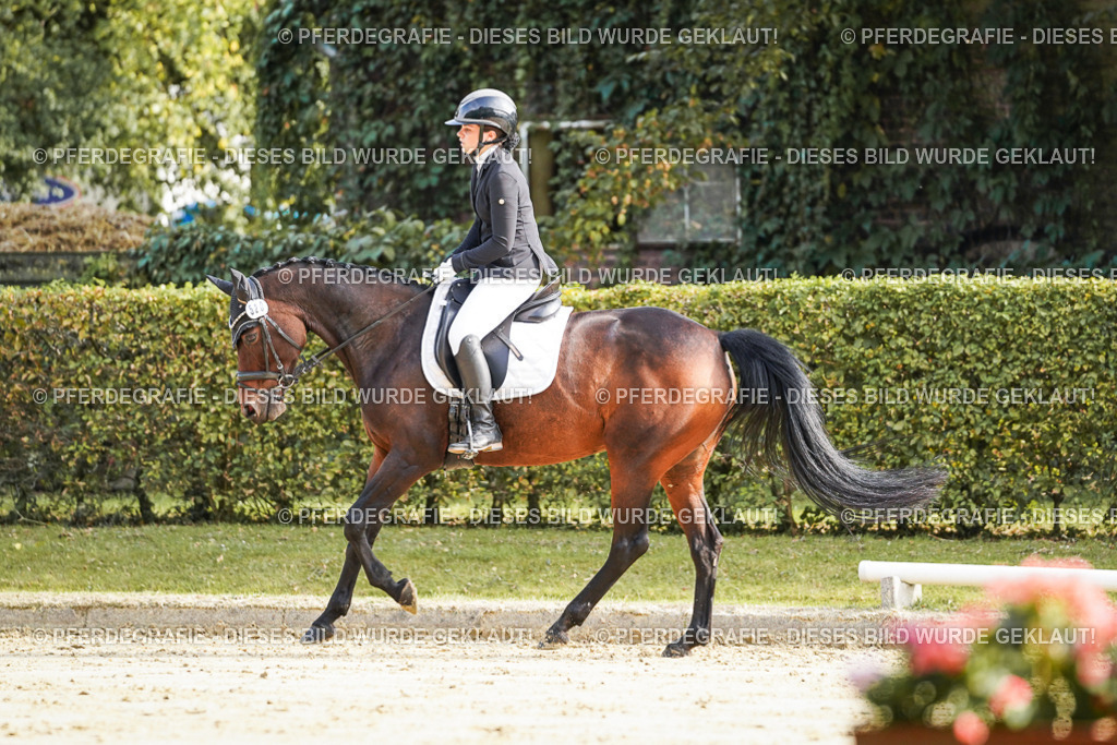 DSC05764 | Pferdegrafie