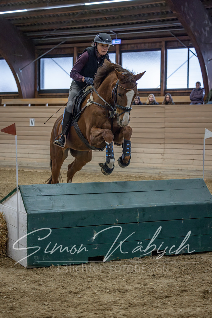 20260221-_3LI8463 | Tierfotografie Pferde, Hunde, Katzen, Haustiere.
Turnierfotografie Reitturniere, Reiten, Springreiten, Dressur in Hanau, dem Main-Kinzig-Kreis und dem Rhein-Main- Gebiet um Frankfurt
