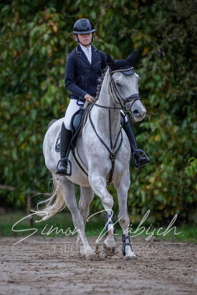 20251012-_3LI2679 | Tierfotografie Pferde, Hunde, Katzen, Haustiere.
Turnierfotografie Reitturniere, Reiten, Springreiten, Dressur in Hanau, dem Main-Kinzig-Kreis und dem Rhein-Main- Gebiet um Frankfurt