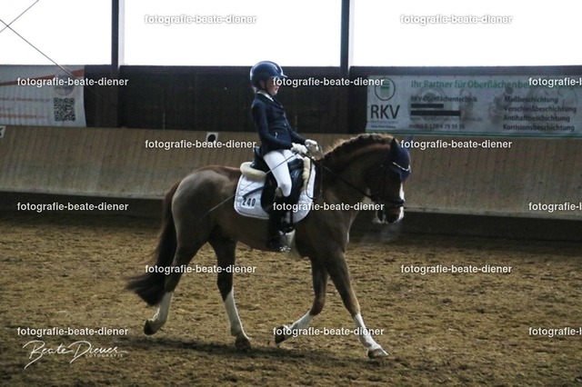 JugendTrophy0841 | Fotografie, Tiere, Hunde, Katzen, Pferde, Sportfotografie, Fotosession, Tierfotografie, Turnierfotografie, Fotografin, Fotograf - Realisiert mit Pictrs.com