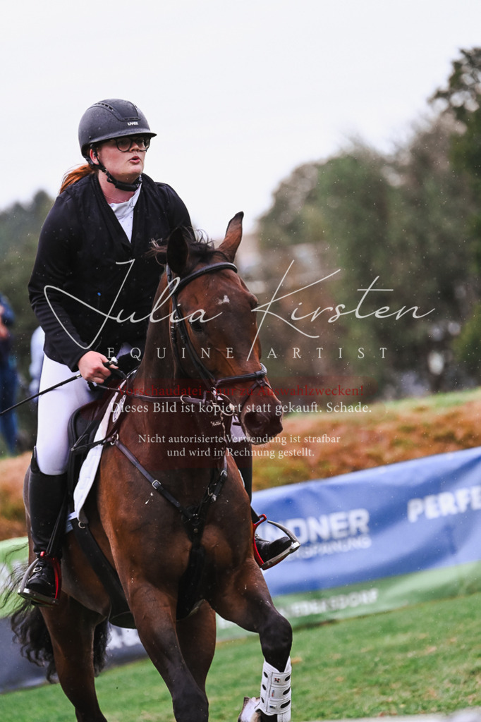 DSC_6525 | Pferde- und Turnierfotografie in Westsachsen. Pferdeportraits, Auftragszeichnungen und intuitive Kunst.