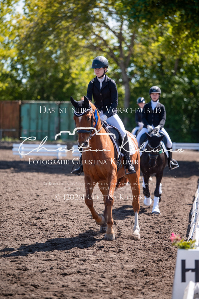 DSC_6474 | Christina-Kleuver