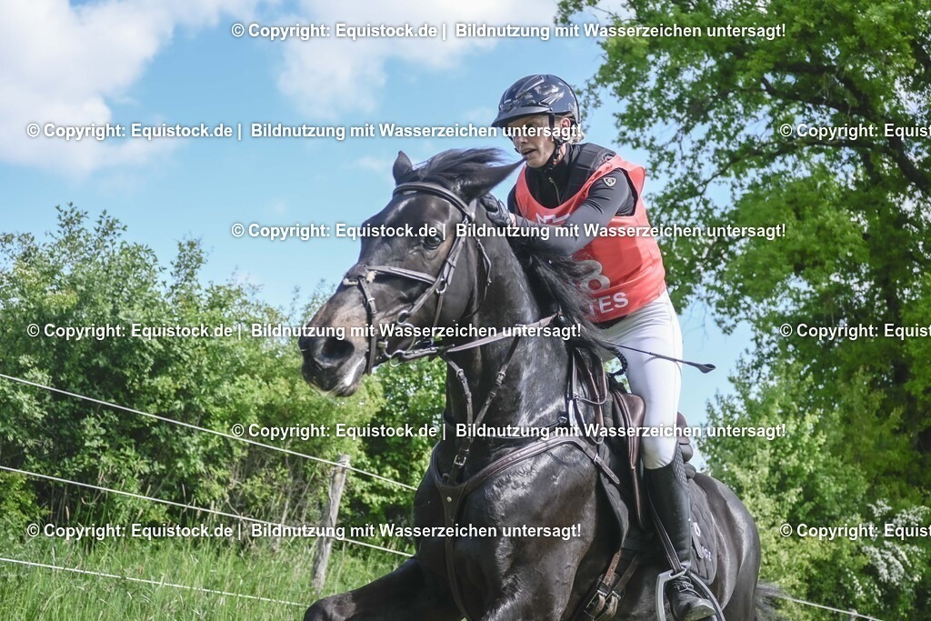 20250517_CCI2_Gelände_1595 | Foto: Thomas Hartig