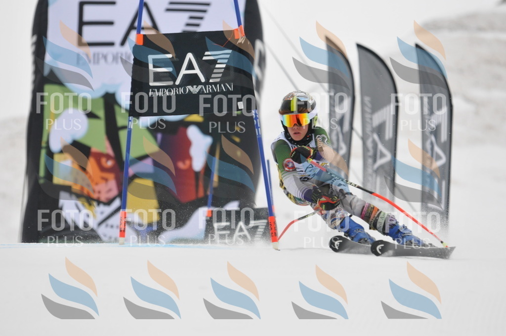 DSC_8448 | holidayphoto