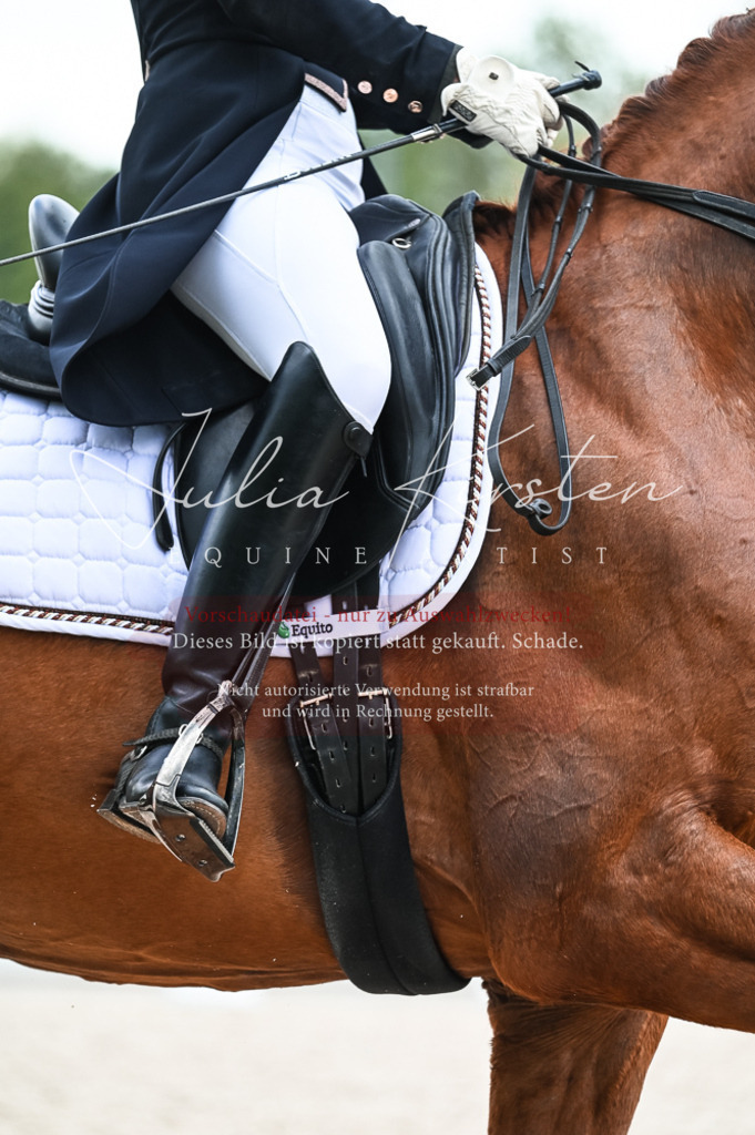 20230514_JK-Röhrsdorf-21-001 | Pferde- und Turnierfotografie in Westsachsen. Pferdeportraits, Auftragszeichnungen und intuitive Kunst.