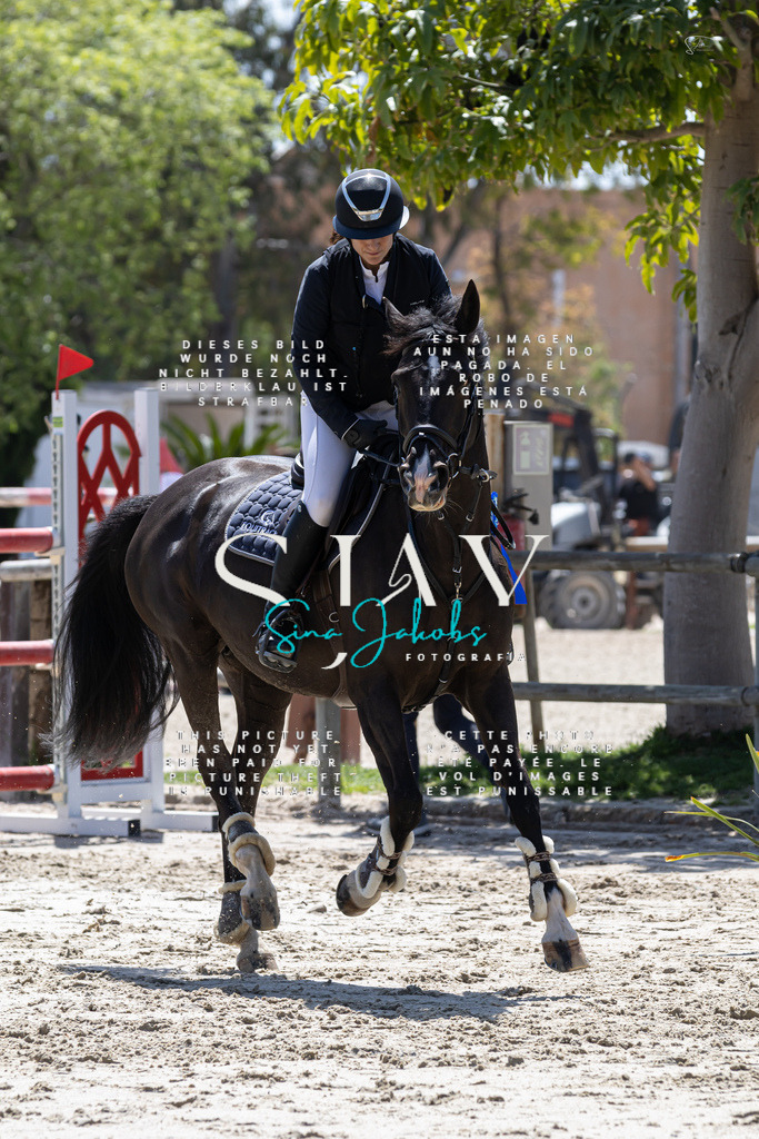 IMG_6939 | s-jay-photography - Realisiert mit Pictrs.com