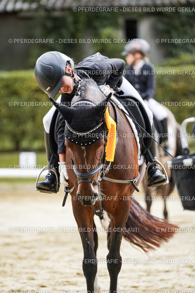 DSC05720 | Pferdegrafie