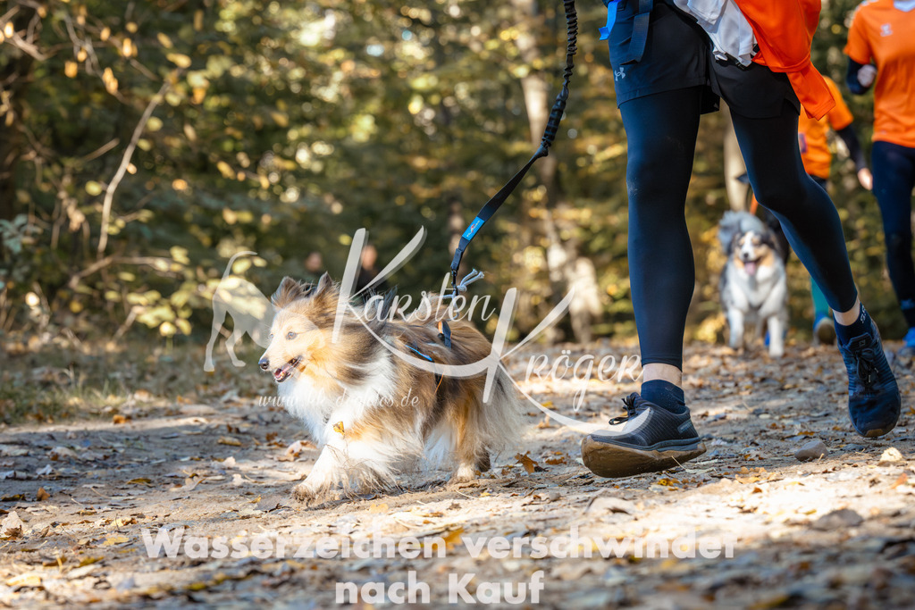 1118_ZZ91922 | kk-dogfotos