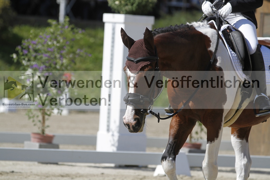 _MG_0412 | equestrian-live-com