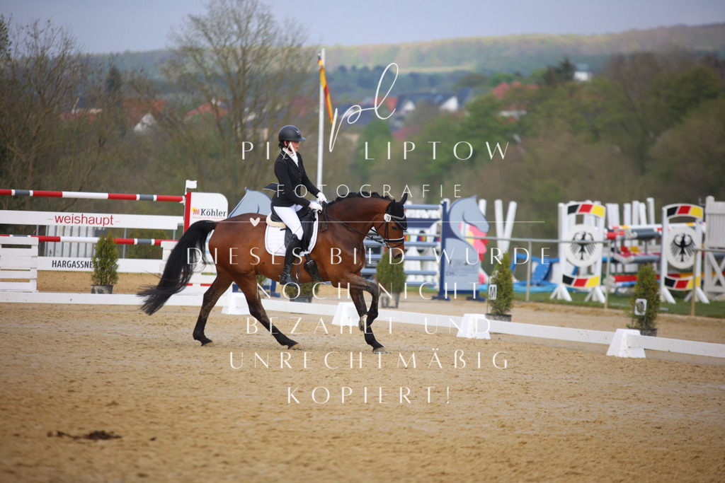 IMGT8235 | pl-fotografie