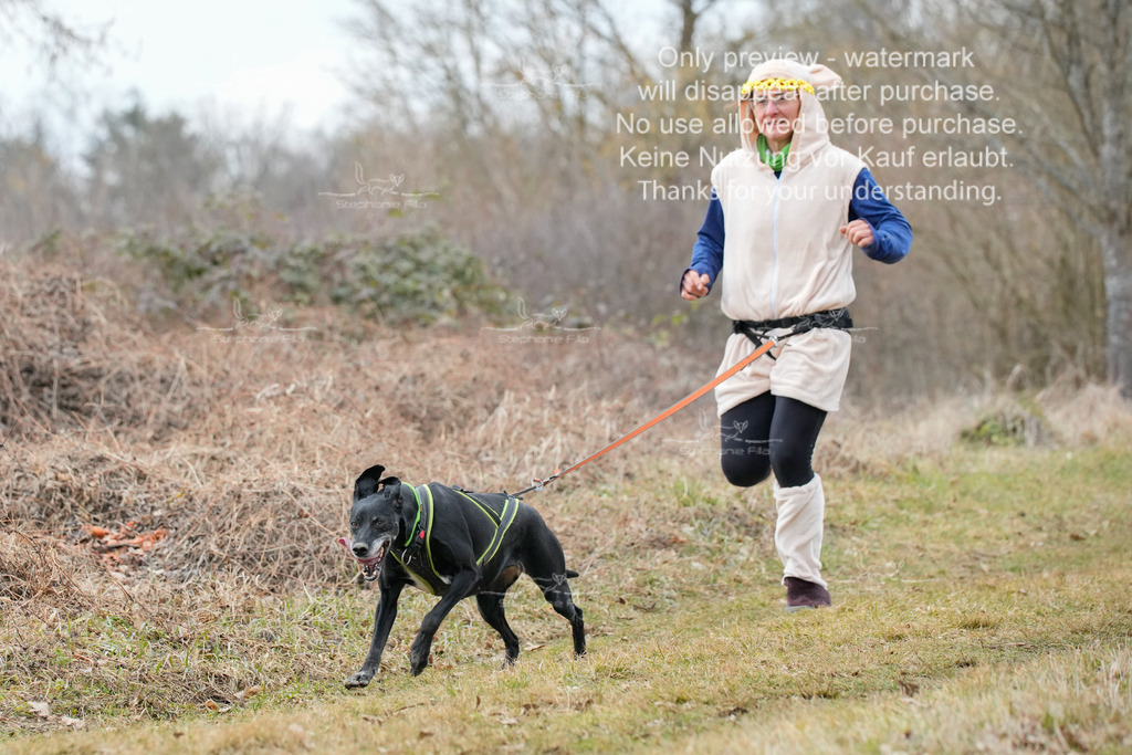 Fasching-11 | stephaniefillaphotographie - Realisiert mit Pictrs.com